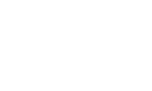 Planet A Foods
